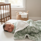 CÉLESTE - La Couverture Bébé | Vert Poétique